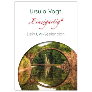 Taschenbuch - Einzigartig – Der Regieplan für dein Leben