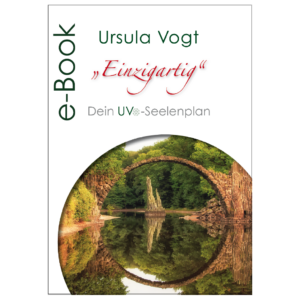 (E-Book) - Einzigartig – Der Regieplan für dein Leben