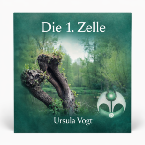 Die 1. Zelle